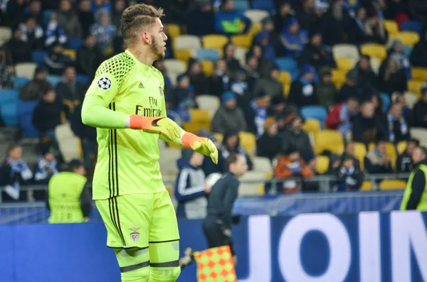 Dinamo Kiev vs Sl Benfica UEFA Şampiyonlar Ligi maçı