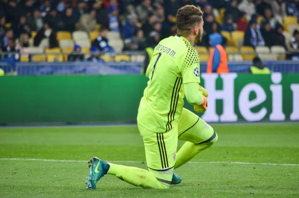 Dinamo Kiev vs Sl Benfica UEFA Şampiyonlar Ligi maçı