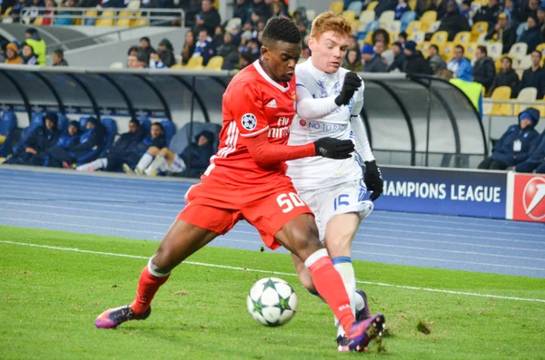 Dinamo Kiev vs Sl Benfica UEFA Şampiyonlar Ligi maçı