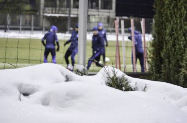 UEFA Şampiyonlar Ligi maç Dinamo Kiev vs arasında Beşiktaş