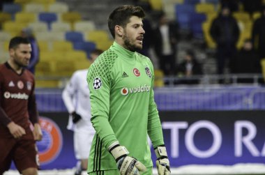 UEFA Şampiyonlar Ligi maç Dinamo Kiev vs arasında Beşiktaş