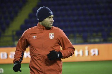 Kharkiv, UKRAINE - November 15, 2016: Dusko Tosic during the fri