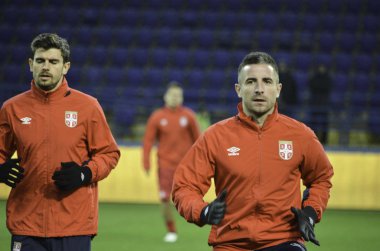 Kharkiv, UKRAINE - November 15, 2016: Zoran Tosic during the fri