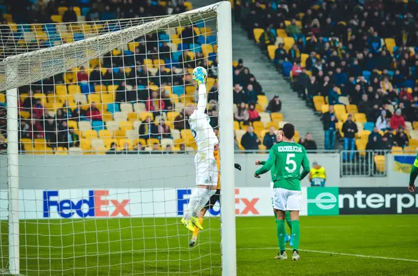 Lviv Ukraine November 2019 Stephane Ruffier Player Uefa Europa League — Stockfoto