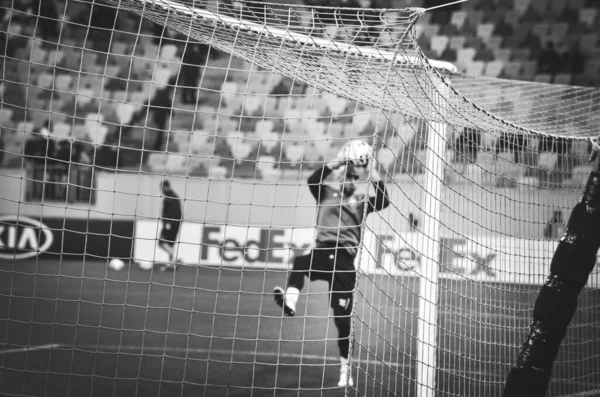 Lviv Ukraine November 2019 Stephane Ruffier Uefa Europa League Match — Stock fotografie