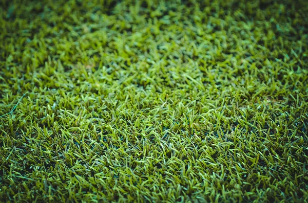 Nahaufnahme Fußballrasen Mit Kurz Geschnittenem Grünen Rasen — Stockfoto