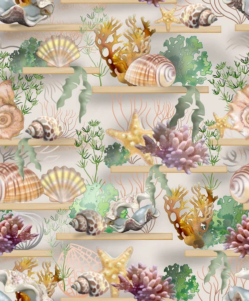 Beautiful pattern of seashells, algae and corals