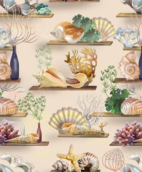 The pattern of seashells, coral algae on the shelves for wallpaper and design