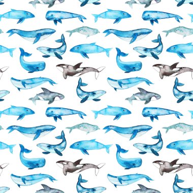 Mavi balinalar ile Seamless Modeli.   