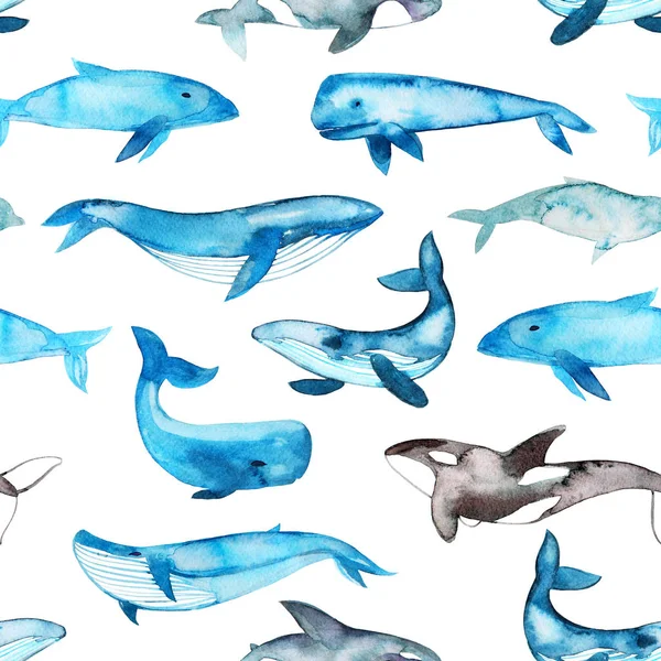 Seamless pattern with blue whales.   