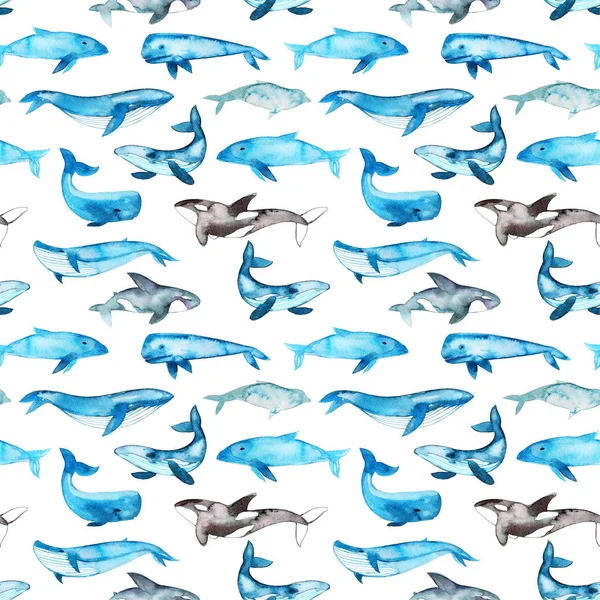 Seamless mönster med blå valar. — Stockfoto