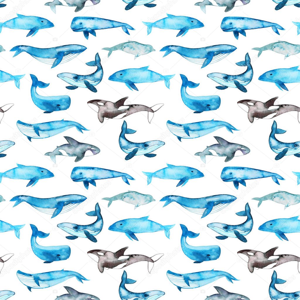 Seamless pattern with blue whales.   