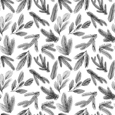 çam ağacı dalları