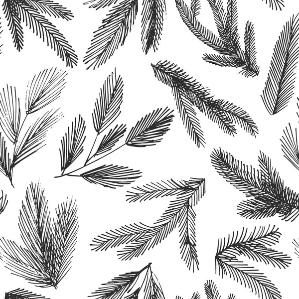 Spruce trädgrenar — Stock vektor