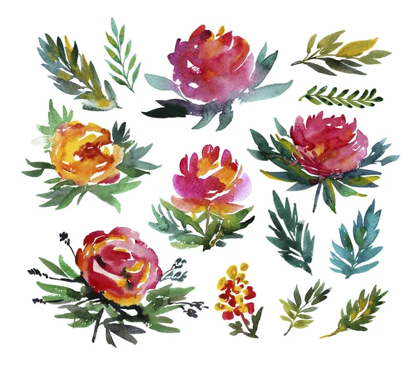 Collection of hand drawn flowers.
