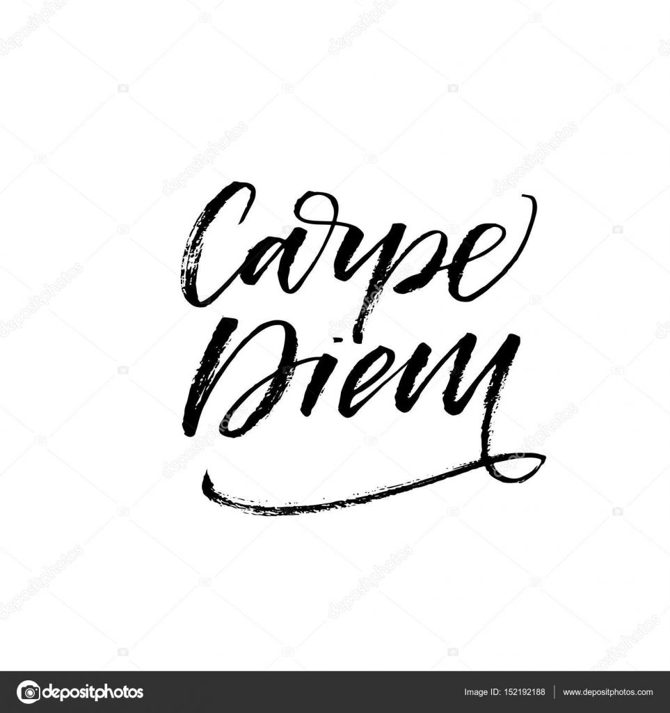 Carpe diem latin phrase means Capture the moment. Stock Vector Image