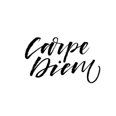 Carpe diem - latin ifade anı yakalamak anlamına gelir. 