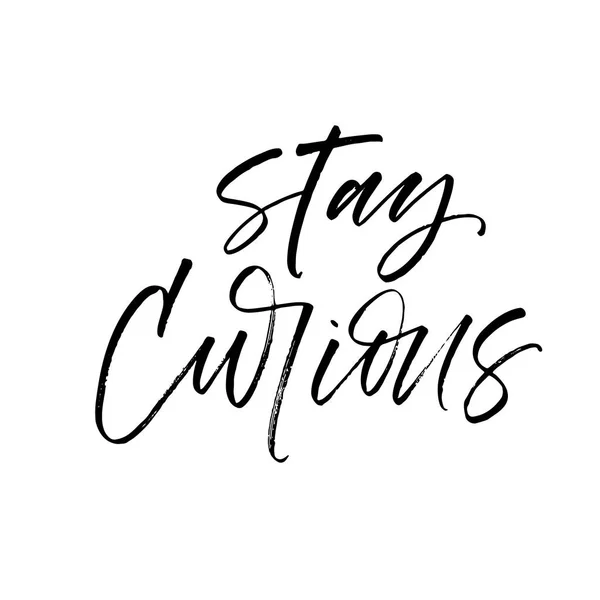 Stay curious postcard. — Stock Vector