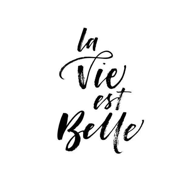 La vie est belle card. —  Vetores de Stock