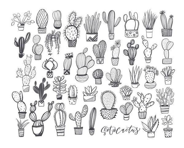 Modèle sans couture avec croquis de cactus — Image vectorielle