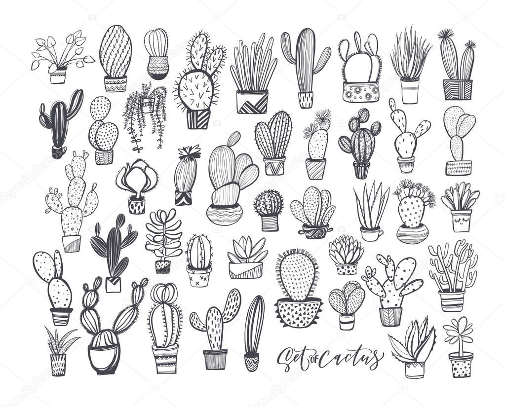 Seamless pattern with cactus sketches 
