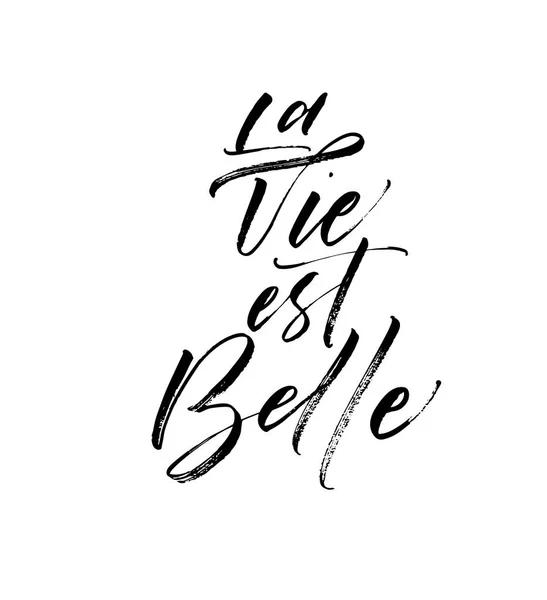 La vie est bell phrase — Stock vektor