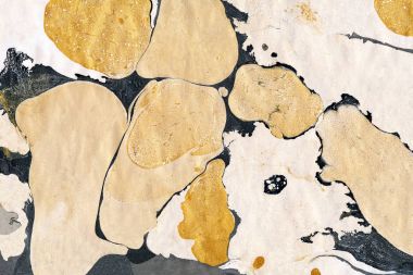 Altın mermer duvar kağıdı. 