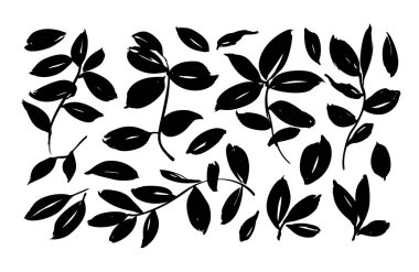 Fırça yapraklı vektör koleksiyonu. El yapımı okaliptüs yaprakları, bitkiler, ağaç dalları. Siyah siluet seti yapraklar ve dallar.