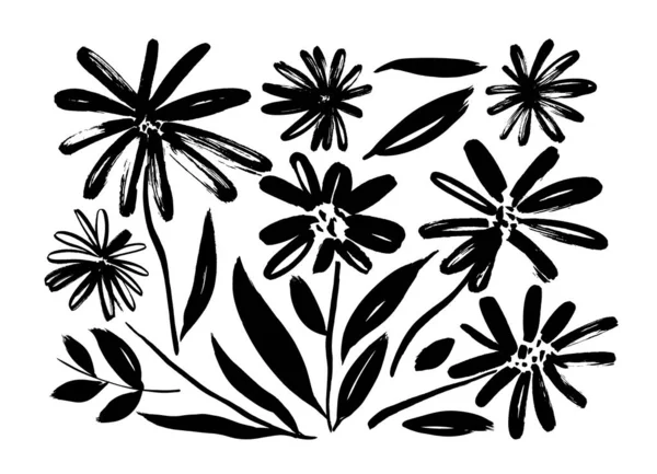 Papatya çayı el çizimi boya vektörü seti. Mürekkep çizimi çiçekler ve bitkiler, tek renkli sanatsal botanik illüstrasyon. — Stok Vektör