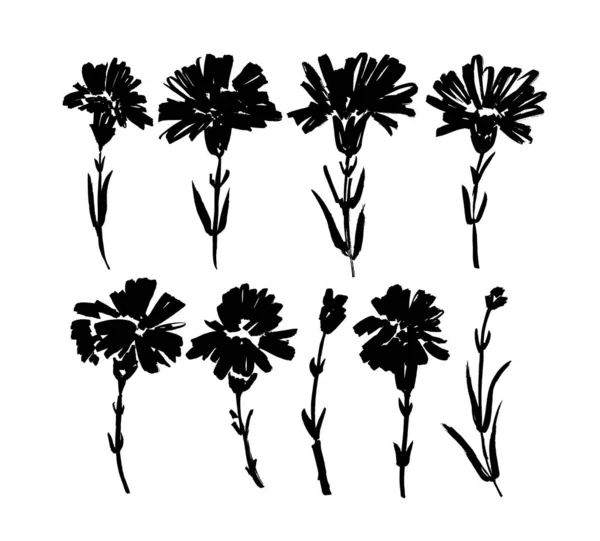 Anjer met de hand getekend verf vector set. Inkt tekening bloemen en planten, monochrome artistieke botanische illustratie. — Stockvector