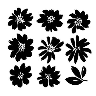 Tarzlanmış fırça çiçeği vektörü ayarlandı. Mürekkep çizimi çiçekler ve bitkiler, tek renkli sanatsal botanik illüstrasyon. 