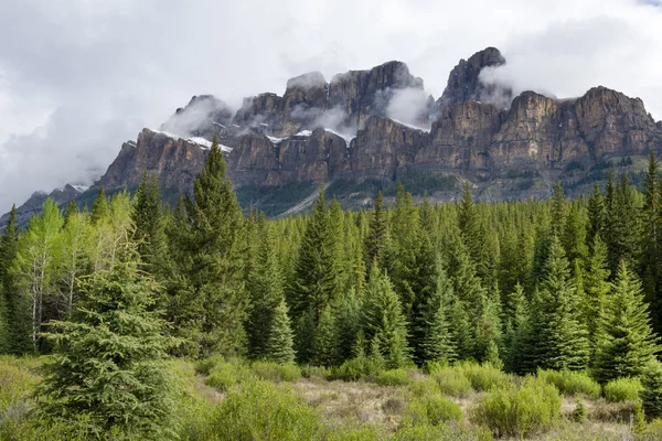 Castle mountain in Canadian Rockies — Stock Photo, Image
