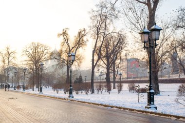 Kış bahçesinde Alexander
