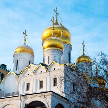 Altın soğan kubbe Kremlin Katedrali