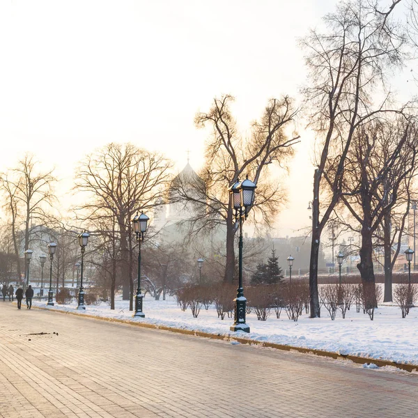 Alexander Garden in winter — Stock Photo, Image