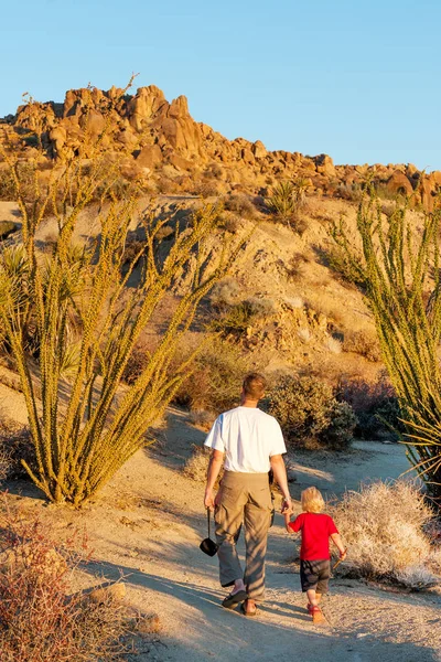 Joshua tree national park — Stock Photo, Image