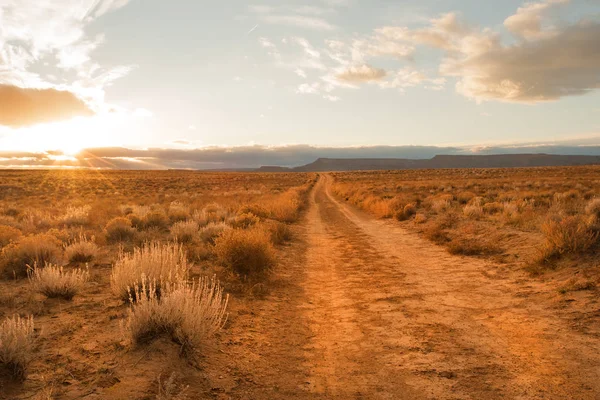 Strada desertica non asfaltata — Foto Stock