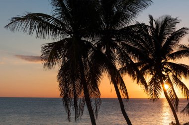 Sunset paradise Island üzerinde