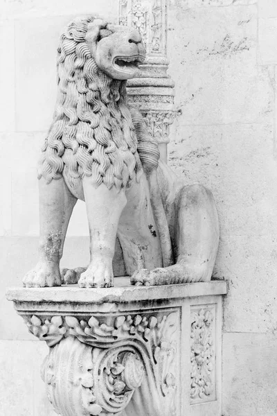 Detail of Sibenik cathedral — Stock Photo, Image