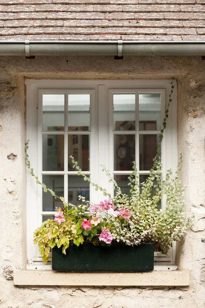 Gemütliches Fenster Eines Alten Hauses Saint Guilhem Wüste Dorf Geschützt — Stockfoto