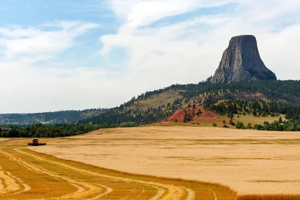 Combine Harvesting Crops Devils Tower National Monument Bear Lodge Native — Stock Photo, Image