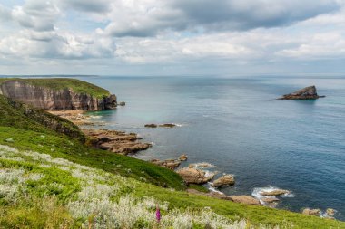 Cape Frehel sahil şeridini kaplayan yaban çiçekleri Amas du Cap adası manzaralı, Brittany, Fransa 'nın Emerald sahilleri