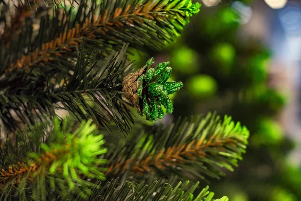 Πράσινο Και Γυαλιστερό Φυσικό Καρούμπαλο Στο Χριστουγεννιάτικο Δέντρο Κλείσε Πρόσθια — Φωτογραφία Αρχείου