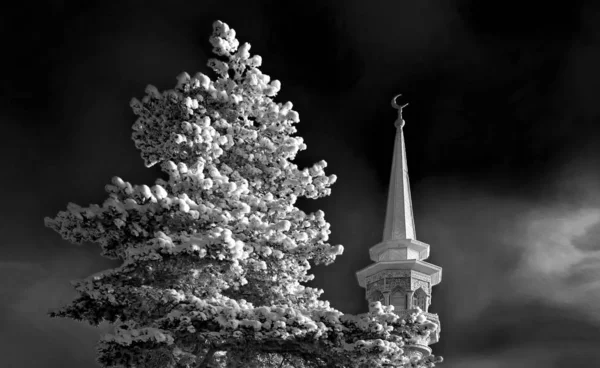 Mosque minaret in background behind Siberian pine on winter moonlit night. — Stock Photo, Image