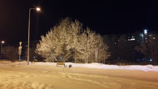 Malam Hari Pohon Kesepian Musim Dingin Dan Mobil Lewat Tampilan — Stok Video
