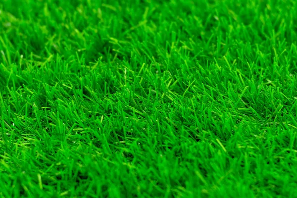 Green Grass Textural Background Blured — Stock Photo, Image