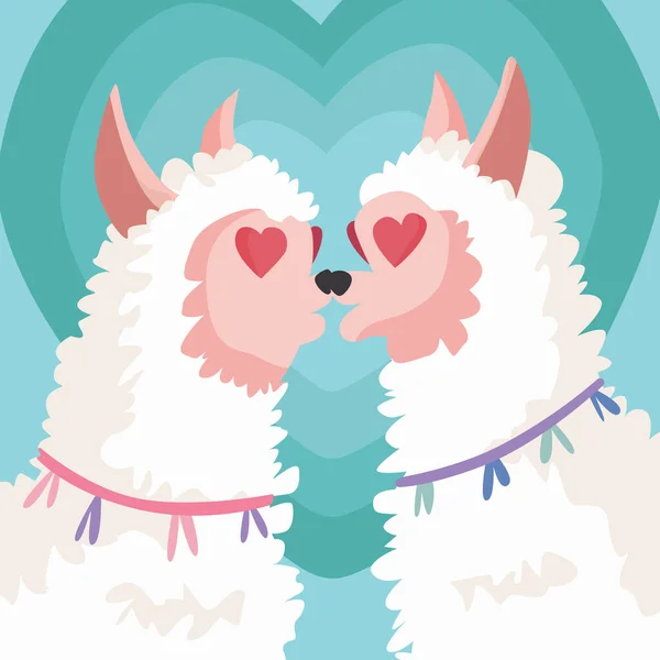 Couple Llama Falling Love Greeting Card Vector Illustration Valentines Day — 스톡 벡터