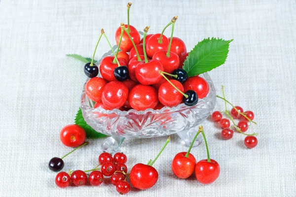 Ripe cherry fruits — Stock Photo, Image