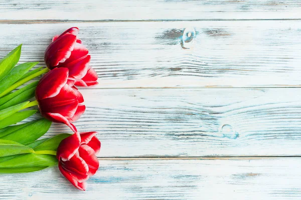 Tulips bouquet bright beautiful colors. Shot in a studio close-up — Stock Photo, Image