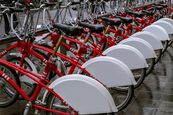 Estacionamento Bicicleta Muitas Bicicletas Vermelhas Alinhadas Para Alugar Transportes Ecológicos — Fotografia de Stock